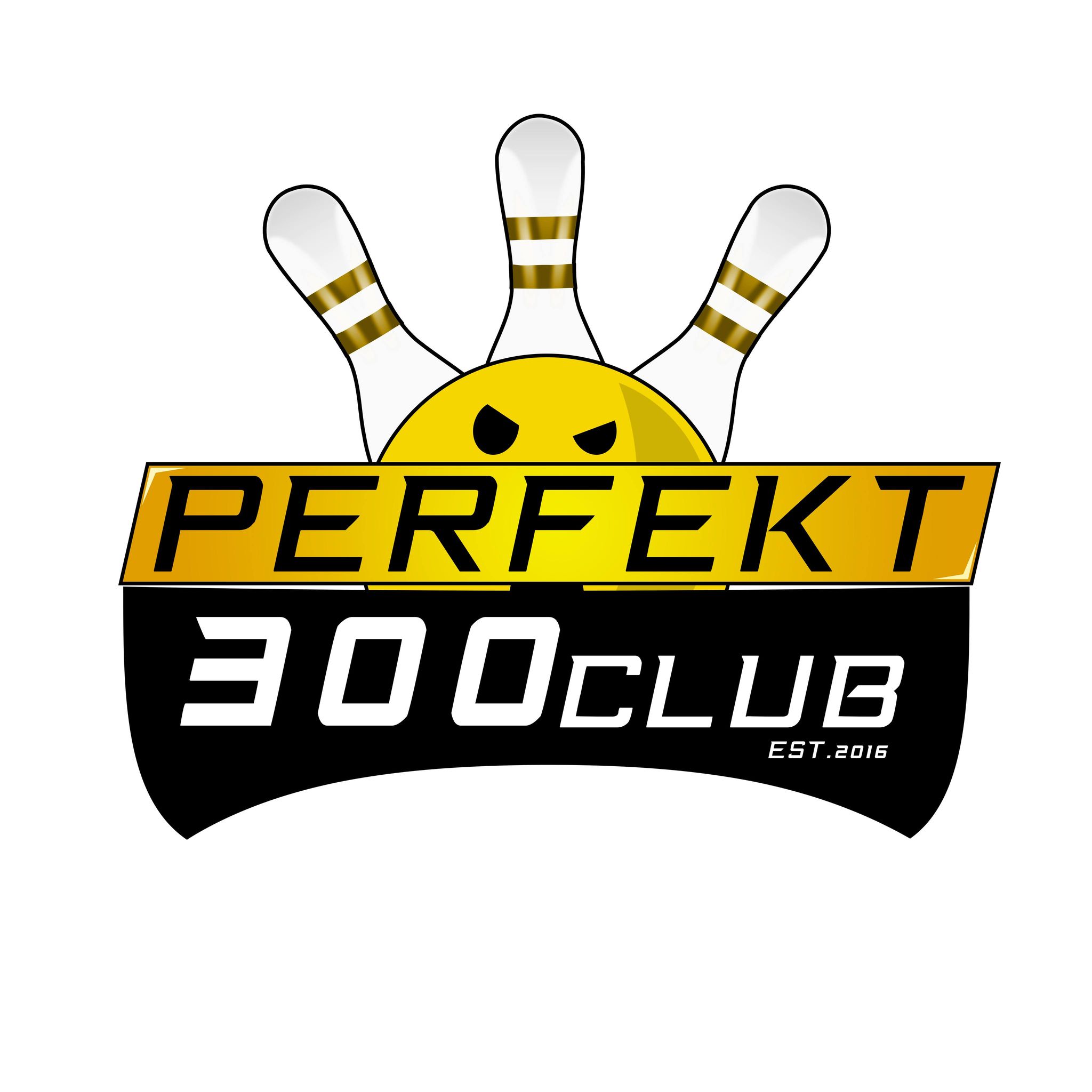 SKF "Perfekt 300"